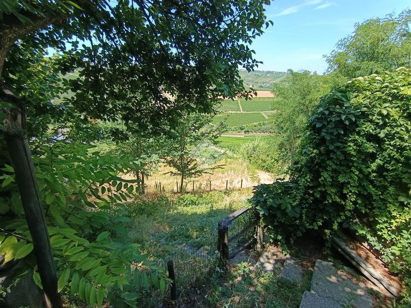 Casa indipendente in Via Boidi 6, Calosso — foto 5 di 5