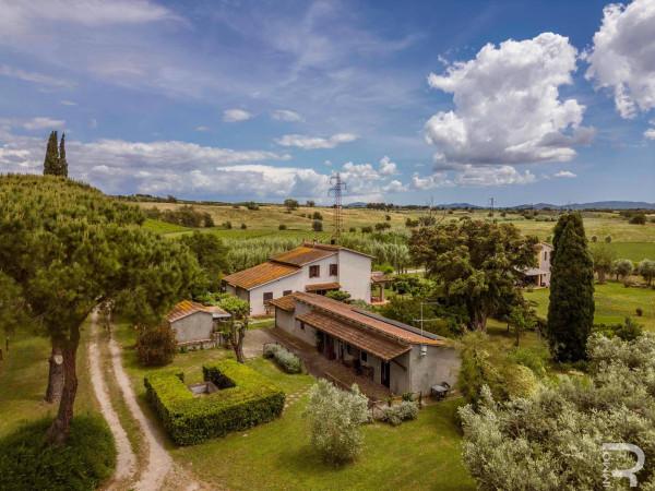 Rustico in Strada Provinciale di Montiano, Magliano in Toscana — foto 4 di 5