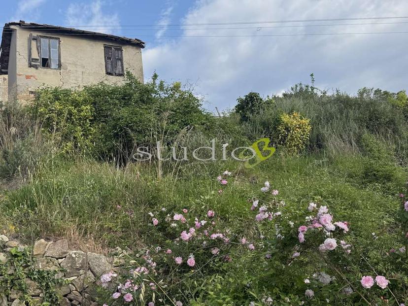 Rustico in Via San Sebastiano Snc, Vallebona — foto 3 di 5