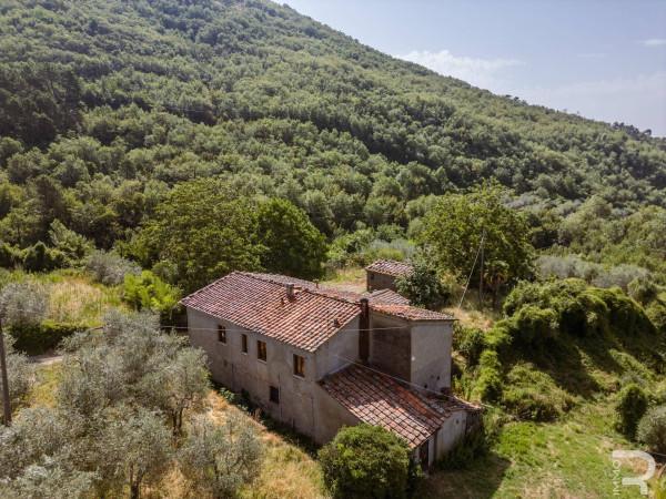 Rustico in Strada Comunale di San Clemente, Loro Ciuffenna — foto 3 di 5