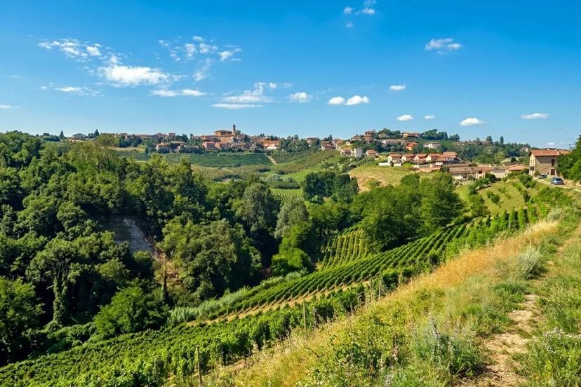 Cascina, Mango — foto 4 di 5