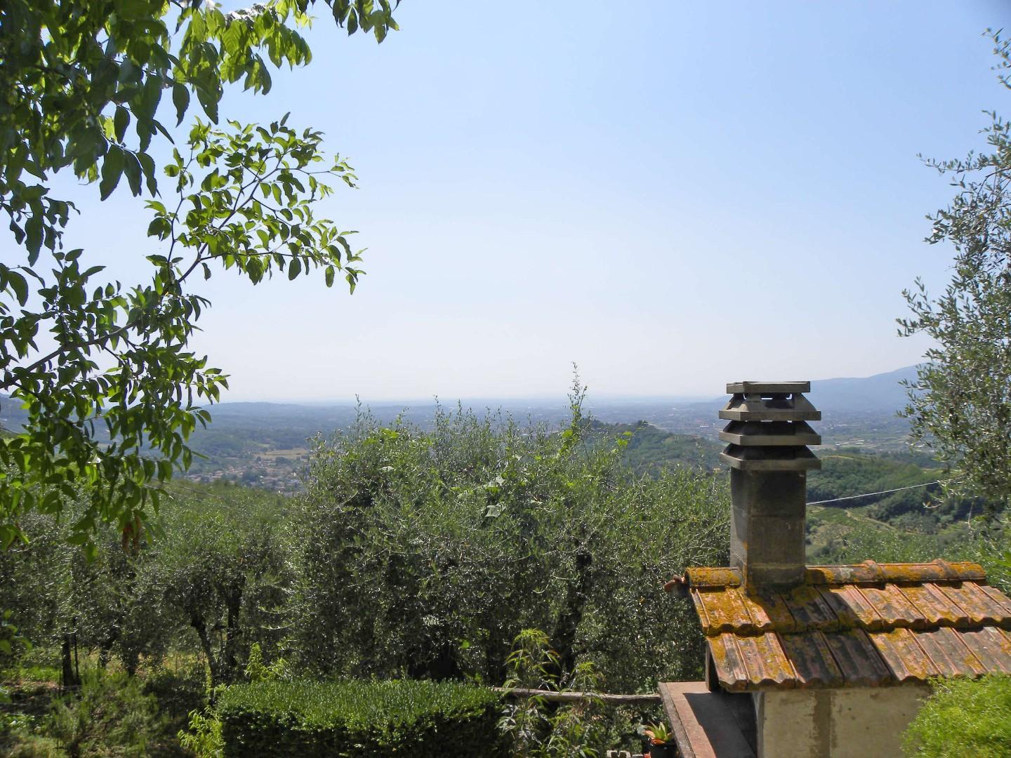 Rustico, Lucca