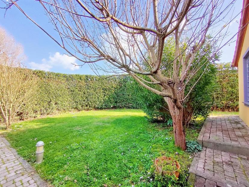 Terratetto, San Giuliano Terme — foto 2 di 5