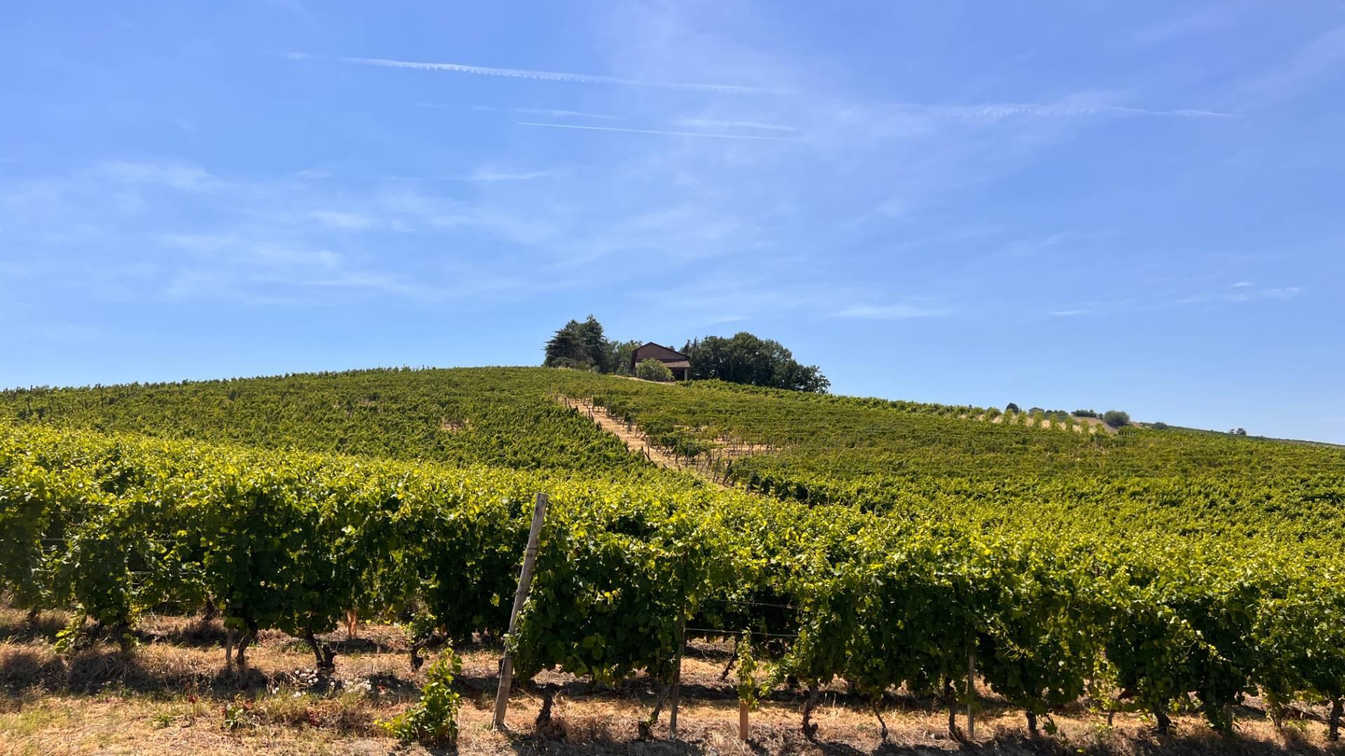 Rustico in Regione Secco 72, Canelli
