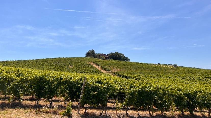 Rustico in Regione Secco 72, Canelli