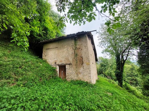 Cascina, Pertica Bassa
