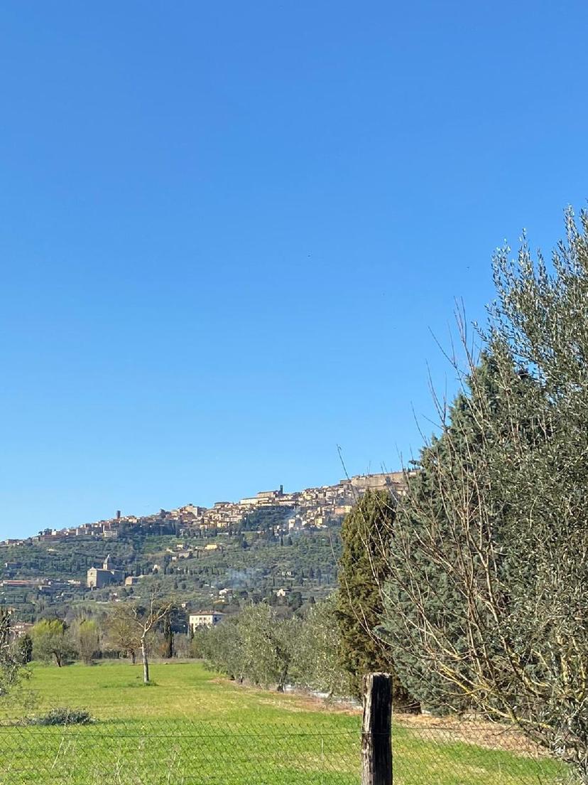 Villa in Località San Marco in Villa, Cortona — foto 4 di 5
