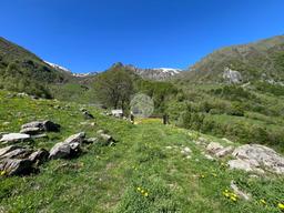 Rustico in Regione Vallorsera - Loc. Malacria 43, Lemie