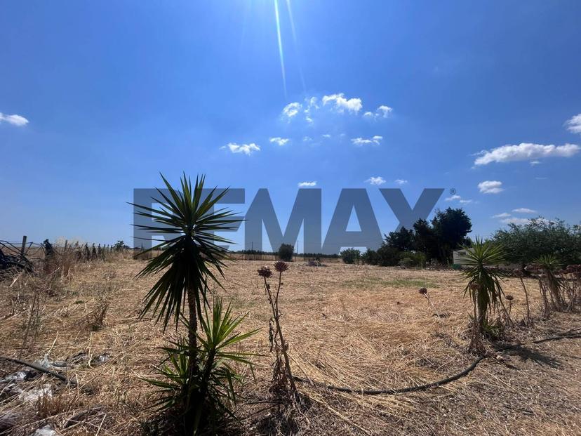 Villa in Contrada Rullo Snc, Pisticci — foto 3 di 5