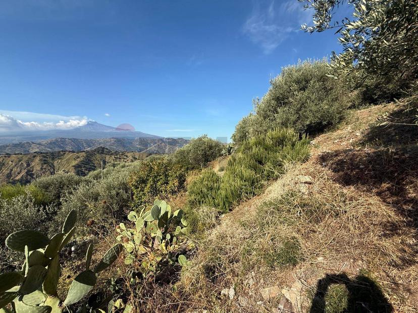 Rustico in Contrada Grimaudo S.N.C, Castelmola — foto 2 di 5