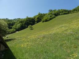 Rustico, Pieve di Bono-Prezzo