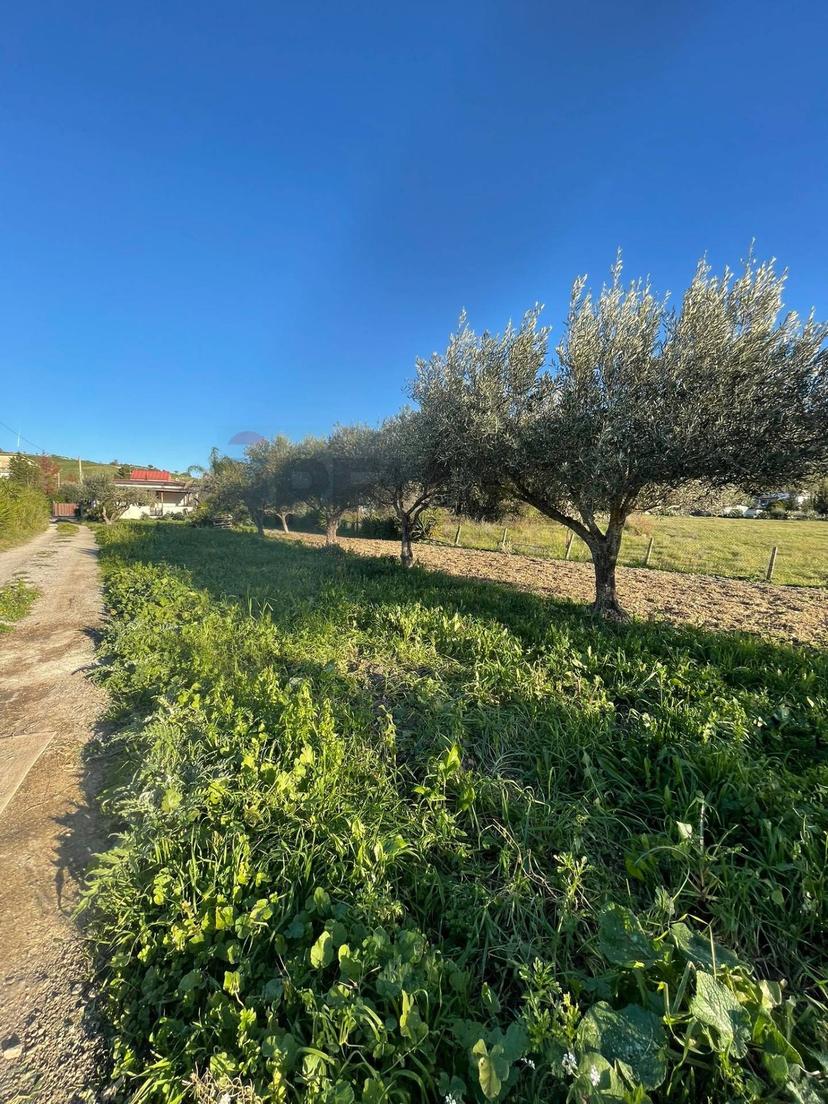 Villa, Agrigento — foto 5 di 5
