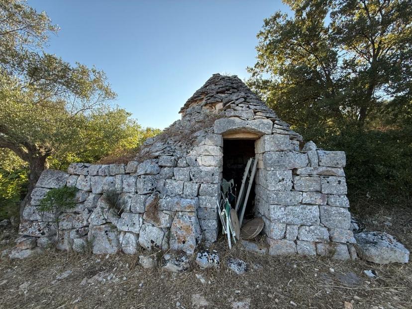 Casa indipendente in C.da Pico, Cisternino — foto 3 di 5
