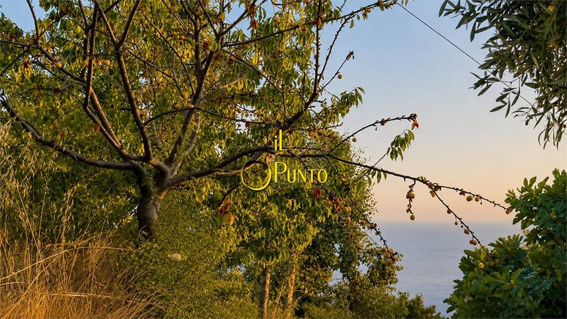 Rustico in Via Sen E. Marsaglia 373, Sanremo — foto 4 di 5