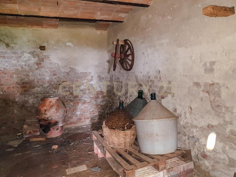 Rustico in Località Preselle Sp 159 , Scansano — foto 4 di 5