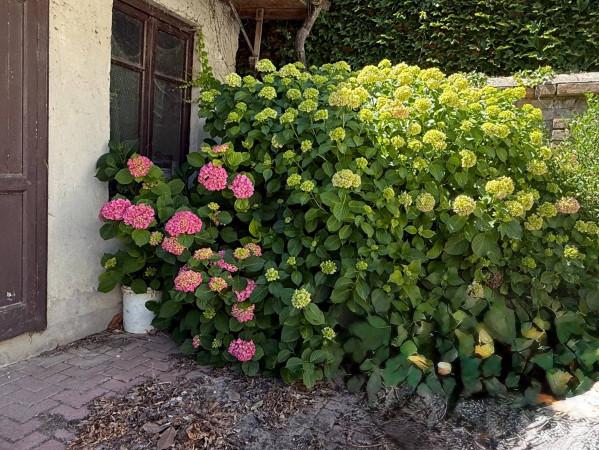 Villa in Via Vittorio Emanuele III 19, Corana — foto 5 di 5