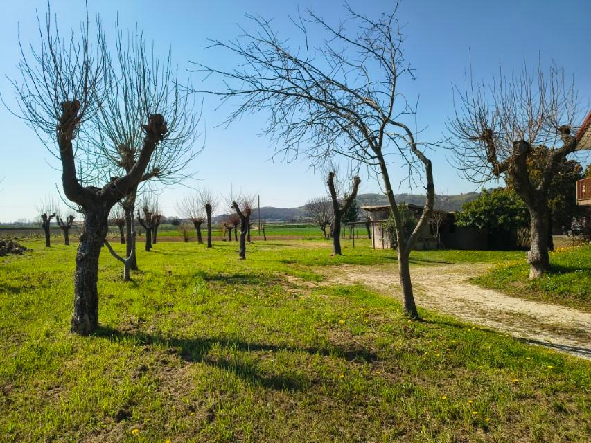 Villa in Carbonara, Rovolon