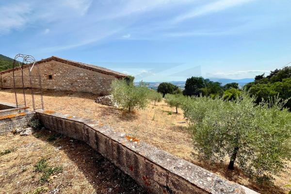 Casale in Strada Comunale Piemonte, Massa Martana — foto 5 di 5