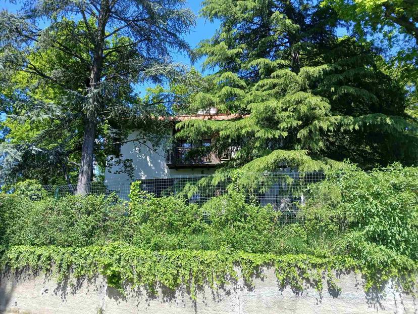 Villa, Pecetto Torinese — foto 4 di 5