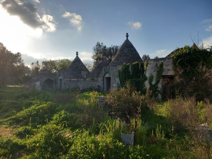 Trullo in C.da Sardella, Ceglie Messapica — foto 3 di 5