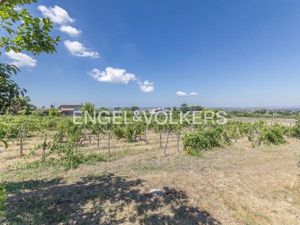 Villa in Via Collepicchione Due, Marino — foto 2 di 5
