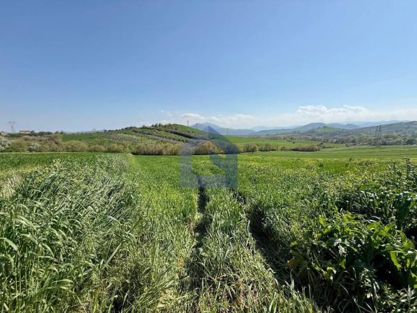 Casale in Via Castellata, Sant'Eusanio del Sangro — foto 4 di 5