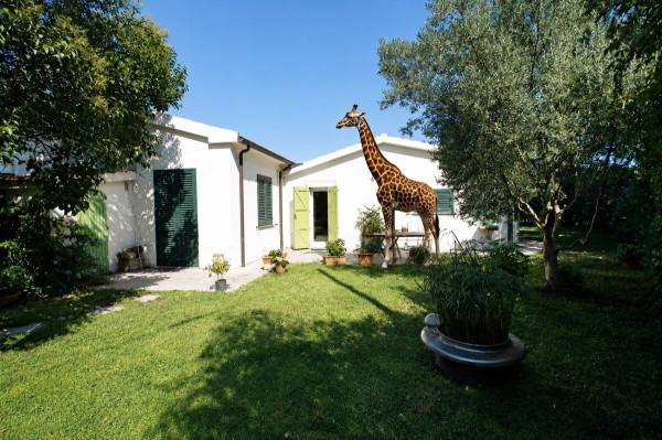 Villa bifamiliare in Località Centro H, Capalbio — foto 4 di 5
