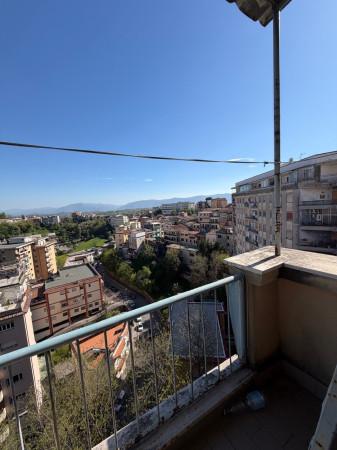Attico in Via Moccia 84, Frosinone — foto 2 di 5