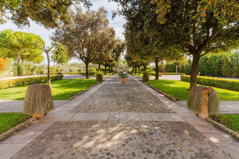 Villa in Sp Molfetta - Terlizzi Km 2,7 Sc, Molfetta — foto 2 di 5