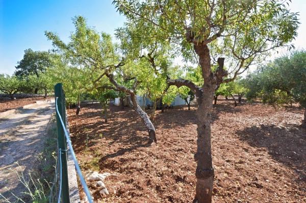 Villa in Contrada Fieno San Magno 14, Putignano — foto 5 di 5