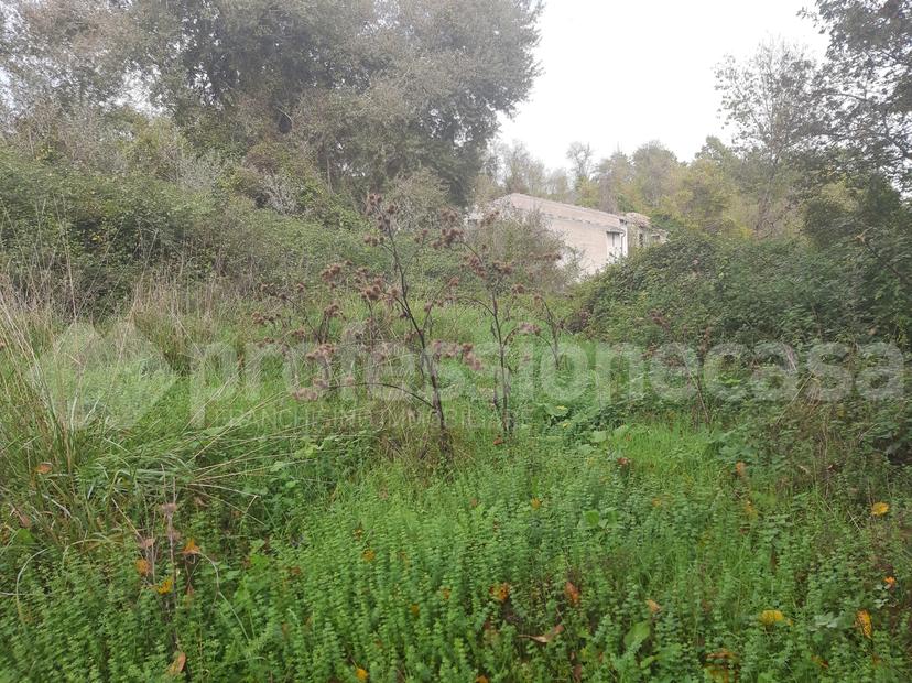 Masseria in Località Civitavecchia 1, San Pietro Avellana — foto 4 di 5