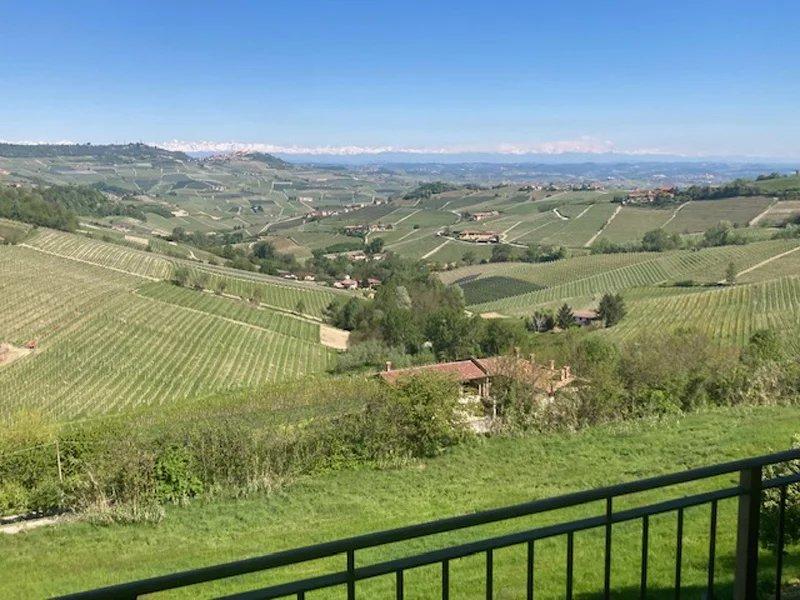 Quadrilocale, Monforte d'Alba — foto 2 di 5