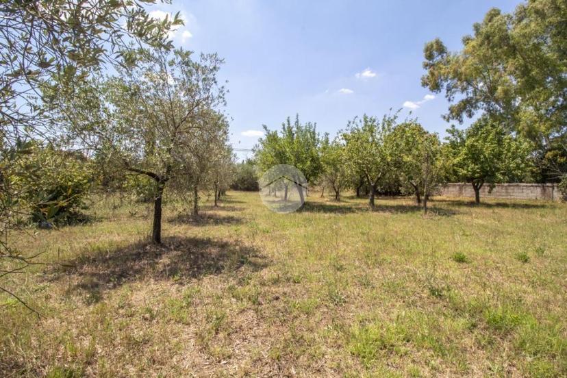 Villa in Strada di Villa Felice, Palombara Sabina — foto 2 di 5