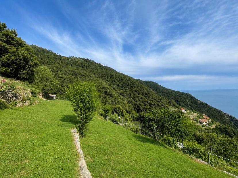 Rustico, La Spezia — foto 3 di 5