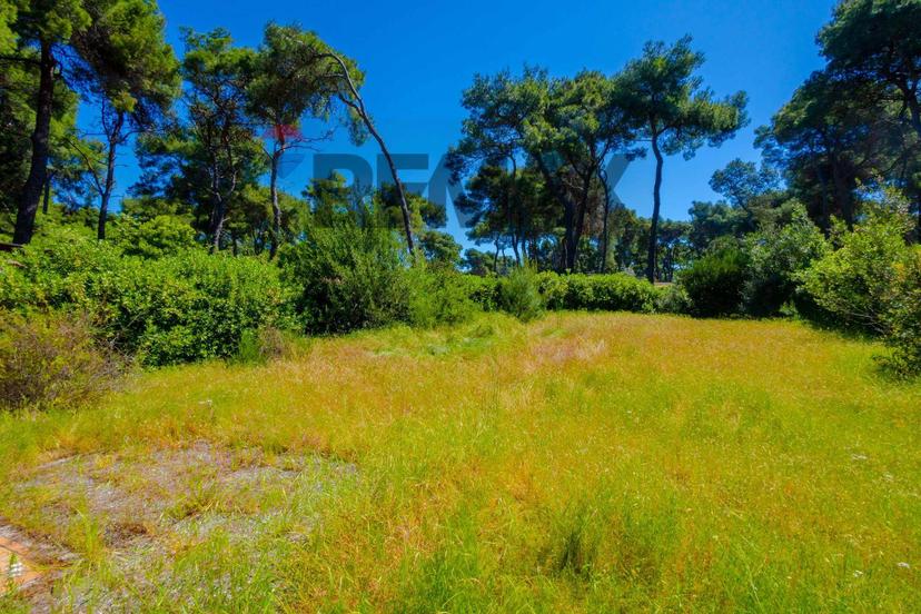 Villa in Via dei Biancospini 18, Castellaneta — foto 3 di 5