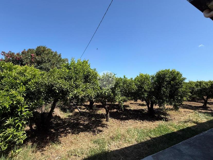Casa indipendente in Via Oceano Atlantico 1, Corigliano-Rossano — foto 4 di 5
