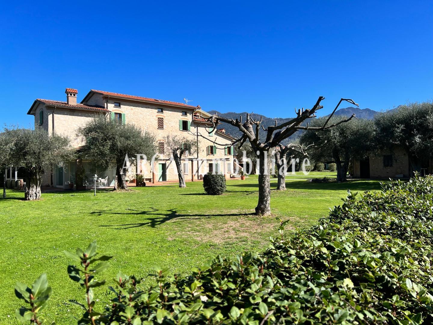 Rustico, Seravezza