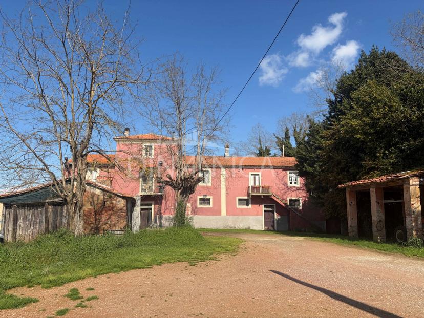 Casa colonica, Fauglia — foto 5 di 5