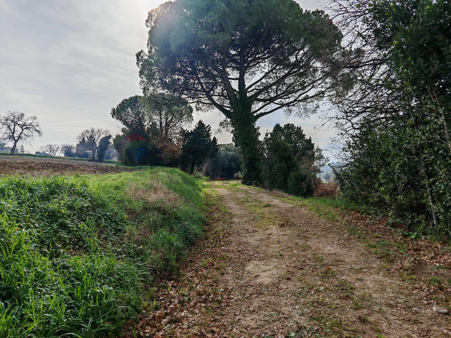 Rustico in Contrada Castelnuovo 114, Recanati