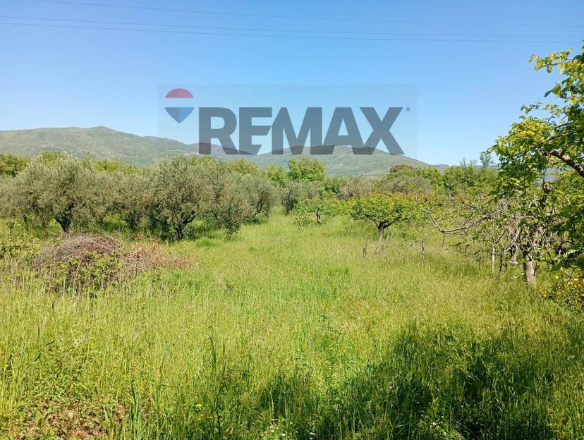Villa in Via Montelaguardia 15, Randazzo — foto 4 di 5
