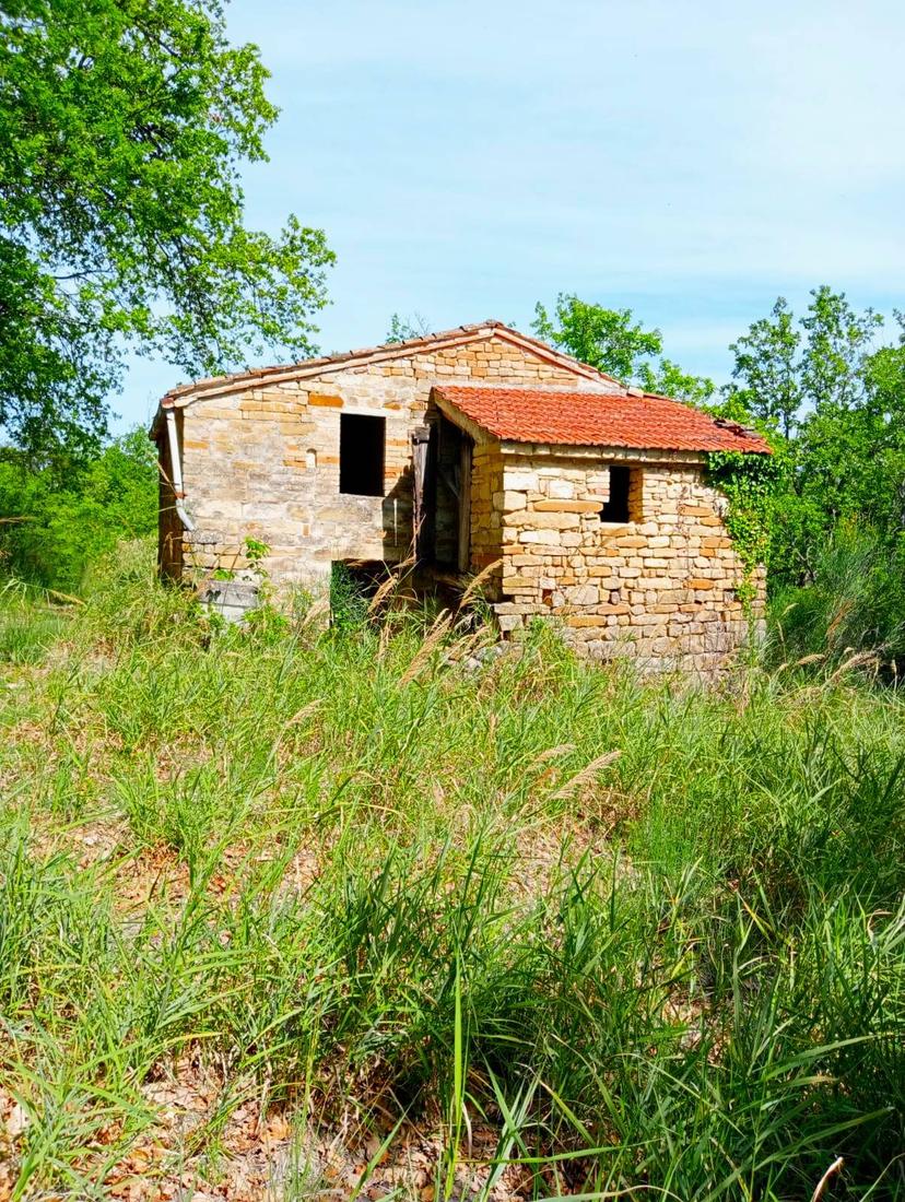 Rustico in Strada Pronviciale 103 Snc, Montelparo