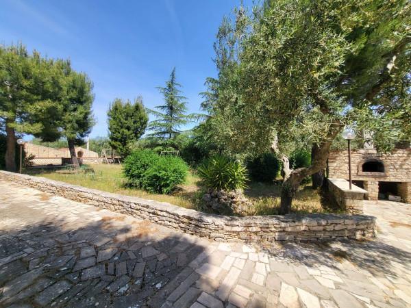 Appartamento in villa in Viale delle Rose, Andria