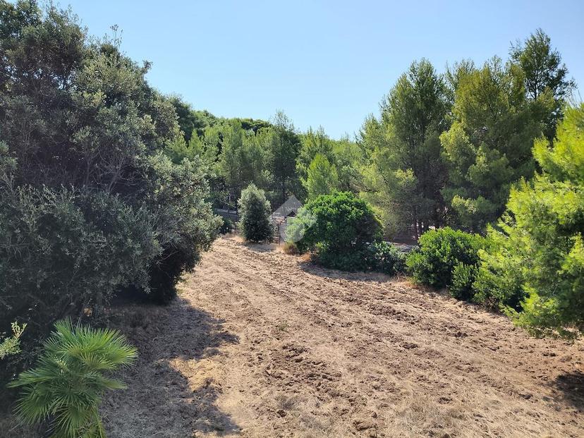 Villa a schiera, Pulsano — foto 5 di 5