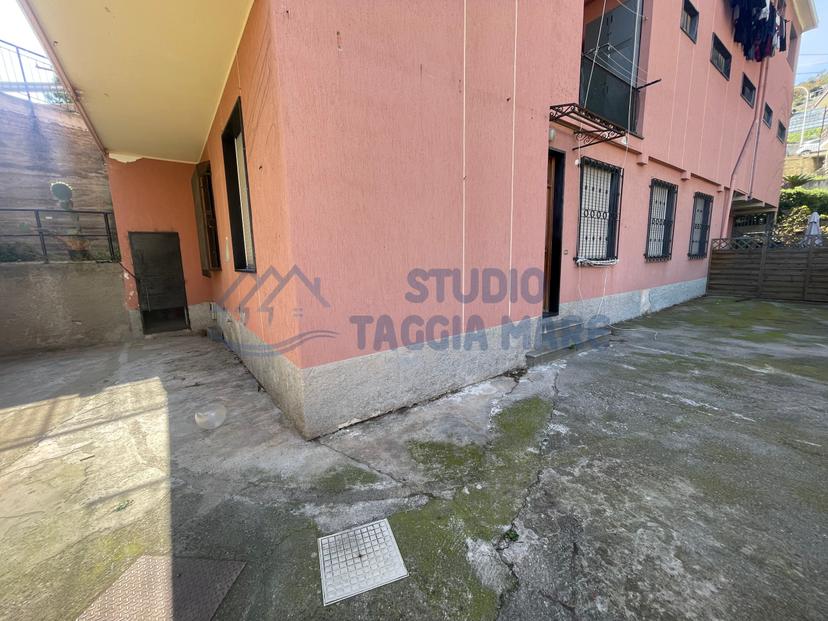 Quadrilocale, Cipressa — foto 4 di 5