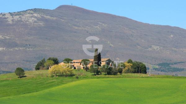 Casale in Via Vecciano, Cetona — foto 3 di 5