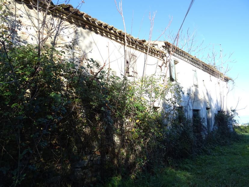 Rustico, Senigallia — foto 5 di 5