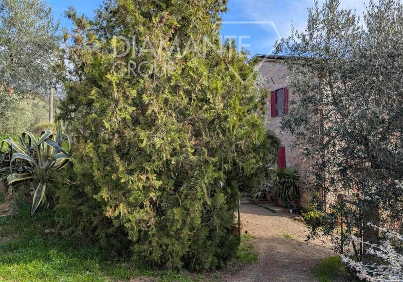 Casa colonica, Città della Pieve — foto 3 di 5