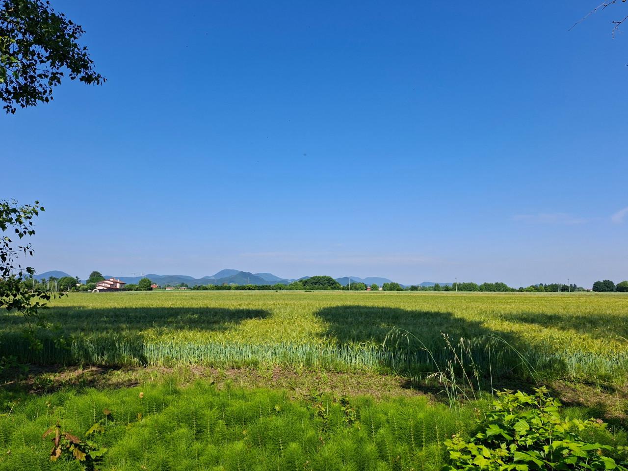 Villa, Due Carrare