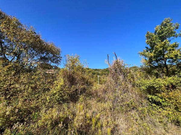 Rustico, Assisi — foto 5 di 5