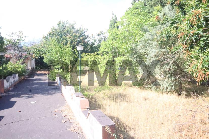 Villa in Contrada San Leo Snc, Belpasso — foto 5 di 5